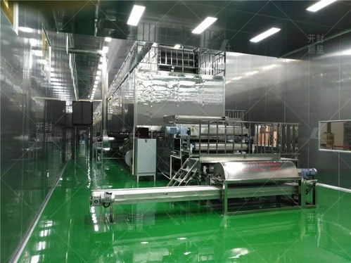 自動化粉條加工廠廠房及車間的核心生產(chǎn)條件解析